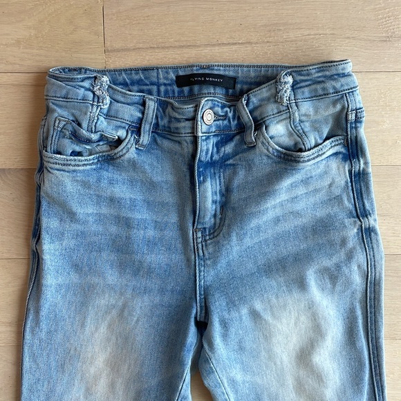 Flying Monkey - Picture 3 of 4